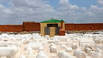 Marrakech Jewish Heritage Morning Tour Mellah, Synagogue & Souks