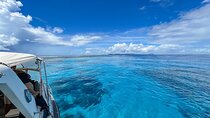 Kerama Islands Okinawa Scuba Diving Adventure