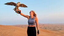 Private Red Dune Safari with BBQ, Camel Ride & Traditional Shows