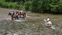 Zakopane Horse Riding and Thermal Baths full day from Krakow