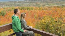 Blue Mountains Shuttle from Toronto – Village or Scenic Caves