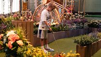Swingers Dubai Crazy Golf Experience