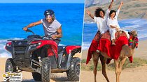 Desert 4x4 ATV Tour with Camel Ride Experience