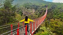 Korea DMZ & Gondola & Suspension Bridge From Seoul