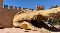 Wildlife Adventure at Croco Park with Transfer – Agadir
