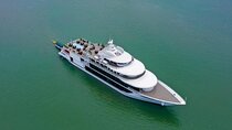 Sea Octopus Luxury Day Cruise: Discover Halong Bay in Style