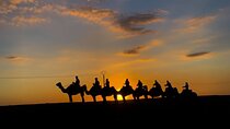 Camel Riding Experience in Agafay Desert with dinner & sunset 
