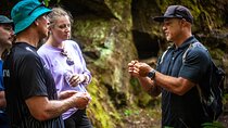 Hawaii Volcanoes & Forests - Private Nature and Mindfulness Tour