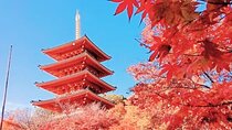 Osaka/Kyoto: Amanohashidate, Ine Bay & Nariaiji Bus Tour w/ Lunch