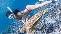 Bali Snorkeling at Blue Lagoon with Waterfall, Lunch & Transport 