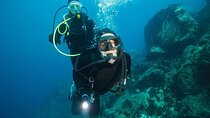 PADI Open Water Diver Course, Learn New Diving Skills -Marsa Alam