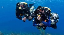 PADI Open Water Advanced Diving Course W/Transfer - Marsa Alam
