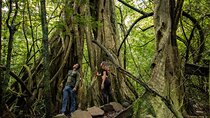 Rincon de la Vieja National Park , Hike, Hot Springs & Waterfall