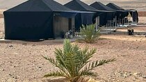 5 Days and 4 Nights Fossil Hunting Adventure in Morocco