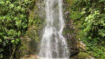 Cocora Valley Waterfall Tour
