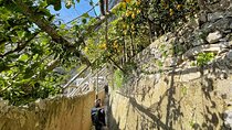 Ravello and Lemon Grove Experience Private Tour from Naples
