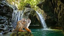 Combo : Damajagua and Monkeys Group Tour in Puerto Plata