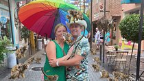 Combo: Monkeys and city tours from amber cove and Taino bay 