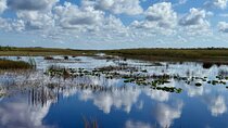 Everglades 1h Private group Eco Airboat tour + Transportation 