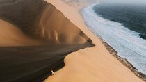 Shared Tour Qatar Desert Adventure with Sandboarding Camel Ride