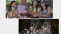 Monkey Tour Interaction and waterfalls excursion in Puerto Plata