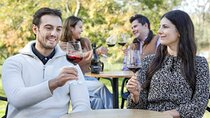 Hunter Valley Tours from Sydney : Wine, Oyster & Dumpling Escape