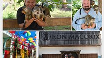 Interaction with Monkey Tour & city tour in Puerto Plata