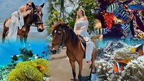 Bali Horse ride with Snorkeling