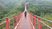 Explore DMZ from Seoul +(optional) Gondola/Red Suspension Bridge