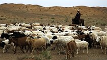 Live like a Mongolian Nomad
