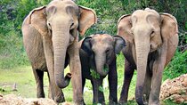 Sri Lanka Multi days Tour - Private Driver & vehicle