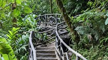 Private La Paz Waterfall Gardens & Doka Coffee Tour from San José