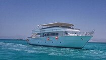 Coral Garden Snorkeling Trip with Lunch & Transfer – Marsa Alam