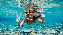 Coral Garden Snorkeling Trip With Lunch & Transfer - Marsa Alam