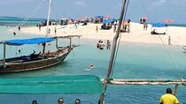The Safar Blue Adventure 