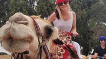 Agadir Camel Ride and Barbecue Tour
