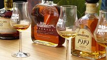 Explore Global Rum Flavors in a French Cellar – Nice
