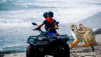 Puerto Plata VIP ATV Tour Between Monkeys