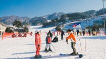 Oak Valley Ski & Snow Experience – Winter Ski Tour(For Beginners)