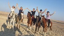 1 Hour Horse Riding at the Amazing Desert & transfer – Marsa Alam
