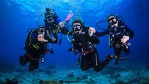 PADI Open Water Diver Course for Beginners - Marsa Alam