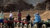 ATV Quad Safari Morning with Camel Ride & Transfers - Marsa Alam