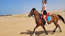Horseback 1-Hour Desert Ride with Transfer - Marsa Alam