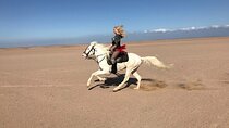 Horseback Ride in the Beautiful Desert with Transfer – Marsa Alam
