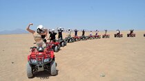 ATV Quad Safari Adventure With Camel Ride & Transfer - Marsa Alam