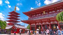 Tokyo full day tour with English speaking driver 