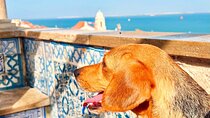 Walking Tour to Lisbon's Church of St. Anthony