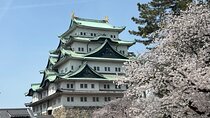 Nagoya Castle Walking Tour Stories of the Golden Shachihoko