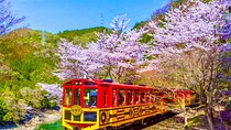 Nara Park Fushimi Inari Torii Gates and Bamboo Forest Day Trip