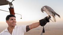 Deluxe balloon ride in Dubai with breakfast & falcon show
